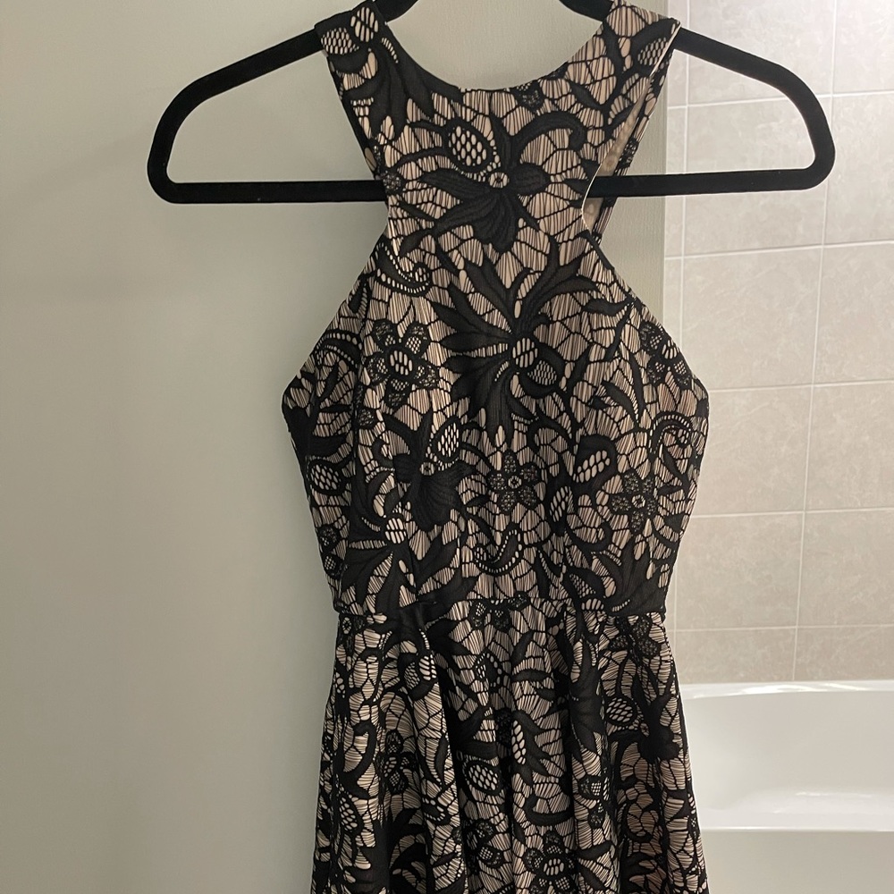 Windsor Nude and Black Laced Dress